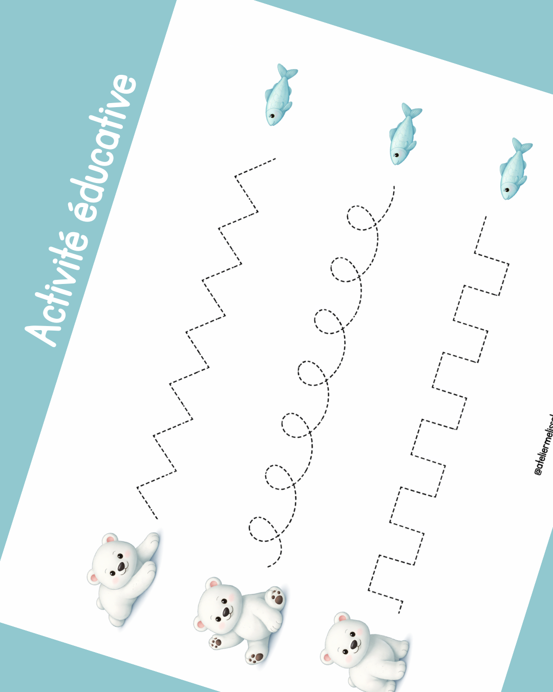I77- Activité éducative - Apprendre à tracer les lignes - Ours polaires
