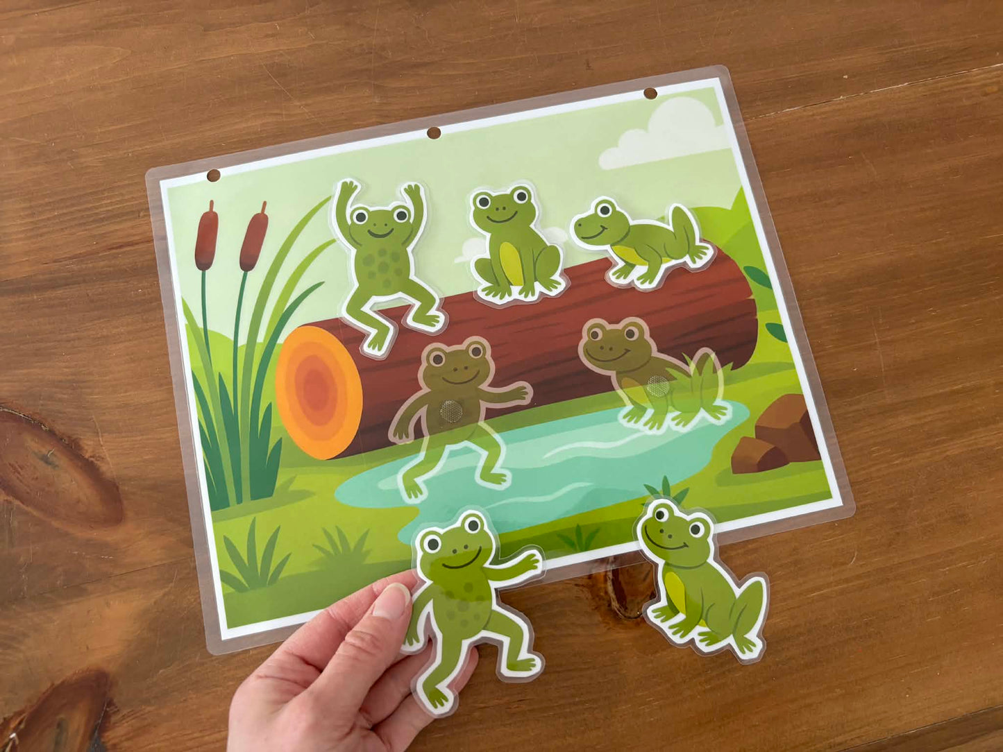 I23 - Puzzle 5 morceaux - Les grenouilles