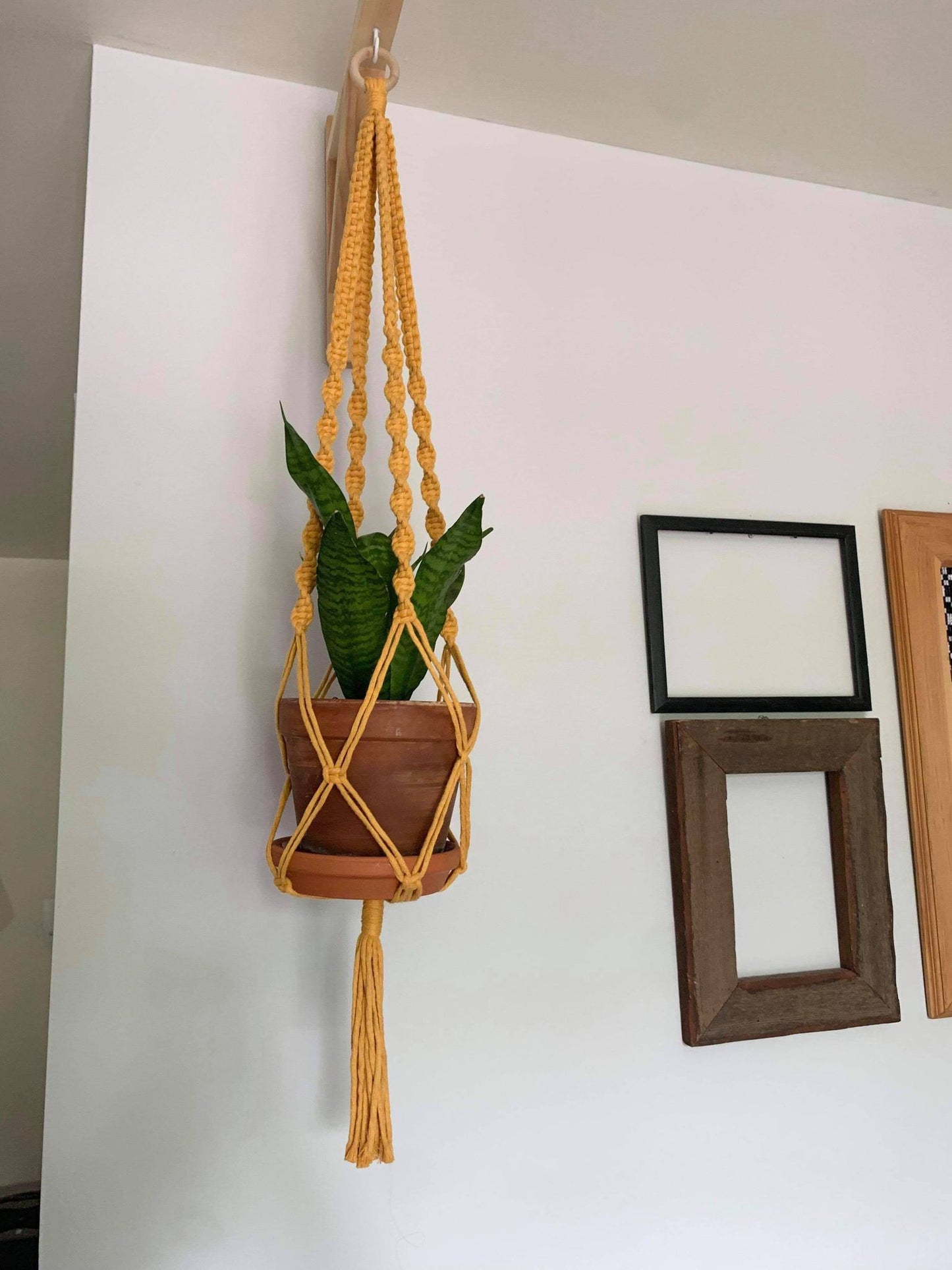 MYCELIS - Jardinière en macramé - Jaune moutarde