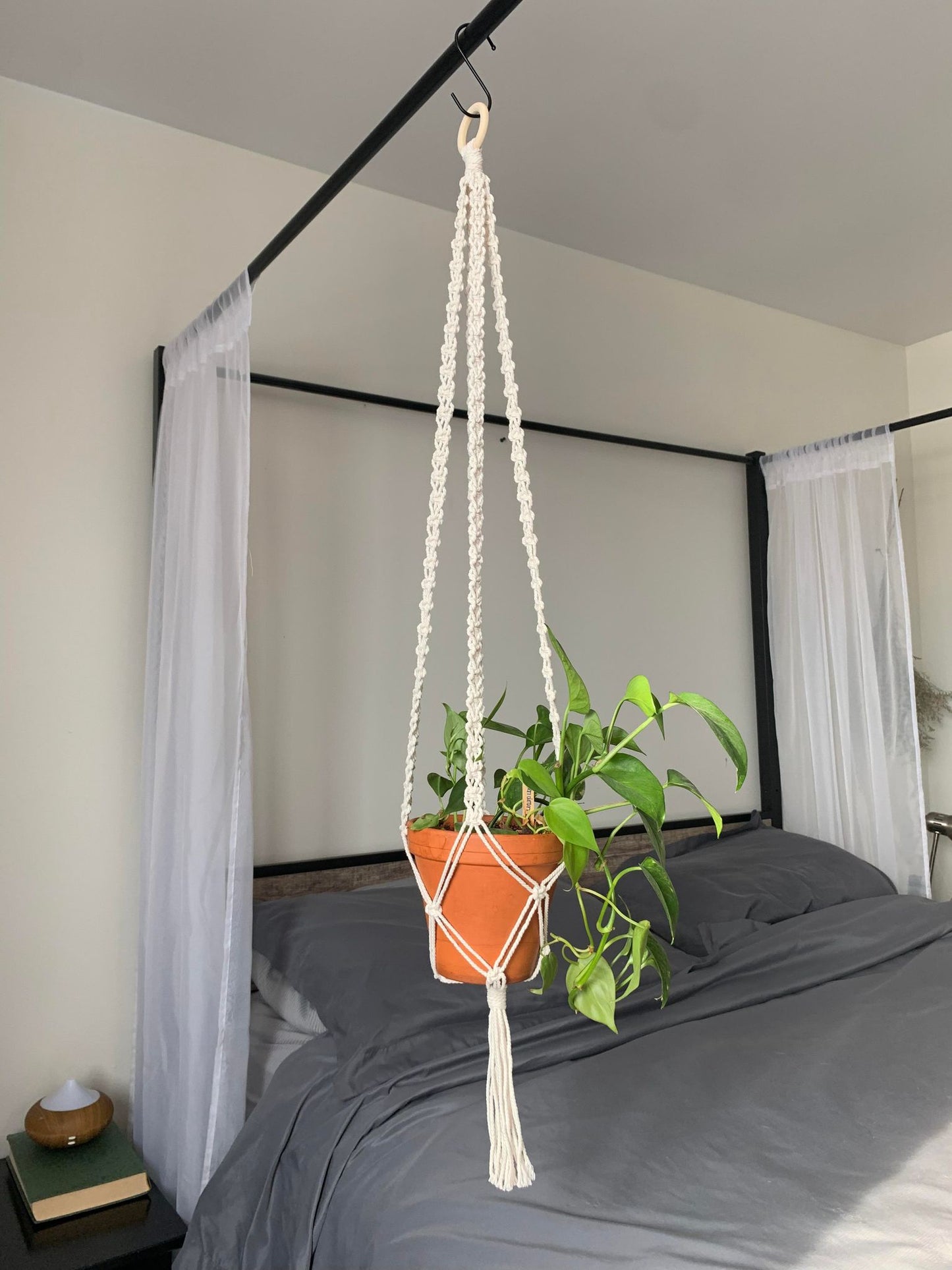 CELTIS - Jardinière suspendue - blanc