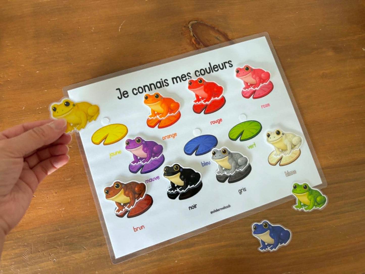 I114 - Je connais mes couleurs - Grenouilles