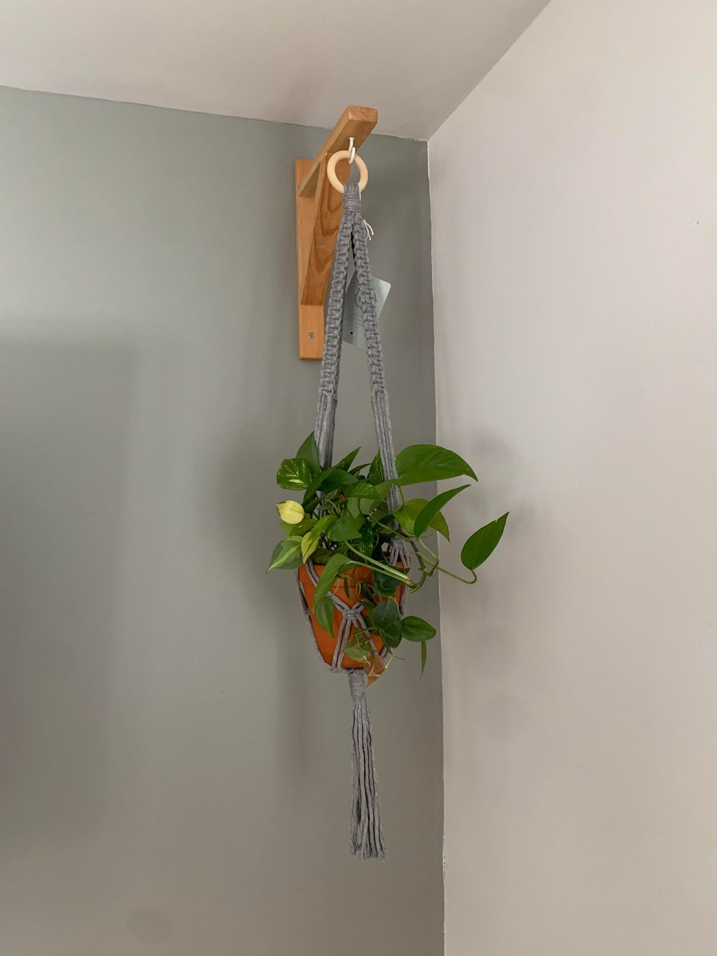 ARALIA - Jardinière suspendue - grise pâle