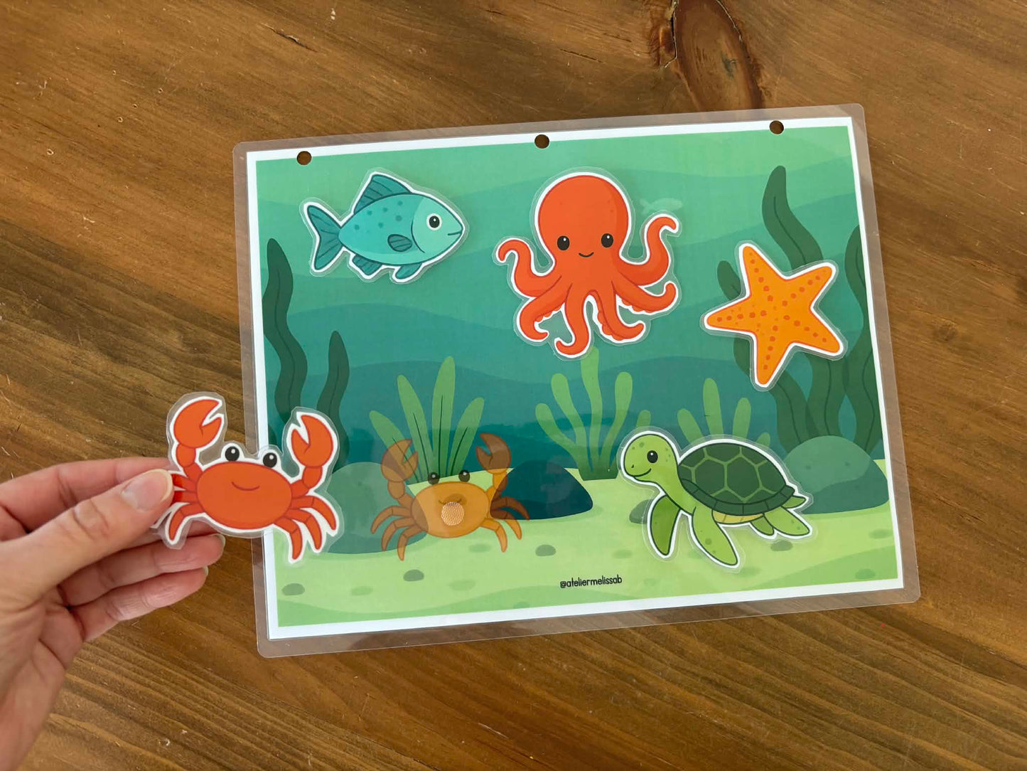 I29 - Puzzle 5 morceaux - Les animaux marins