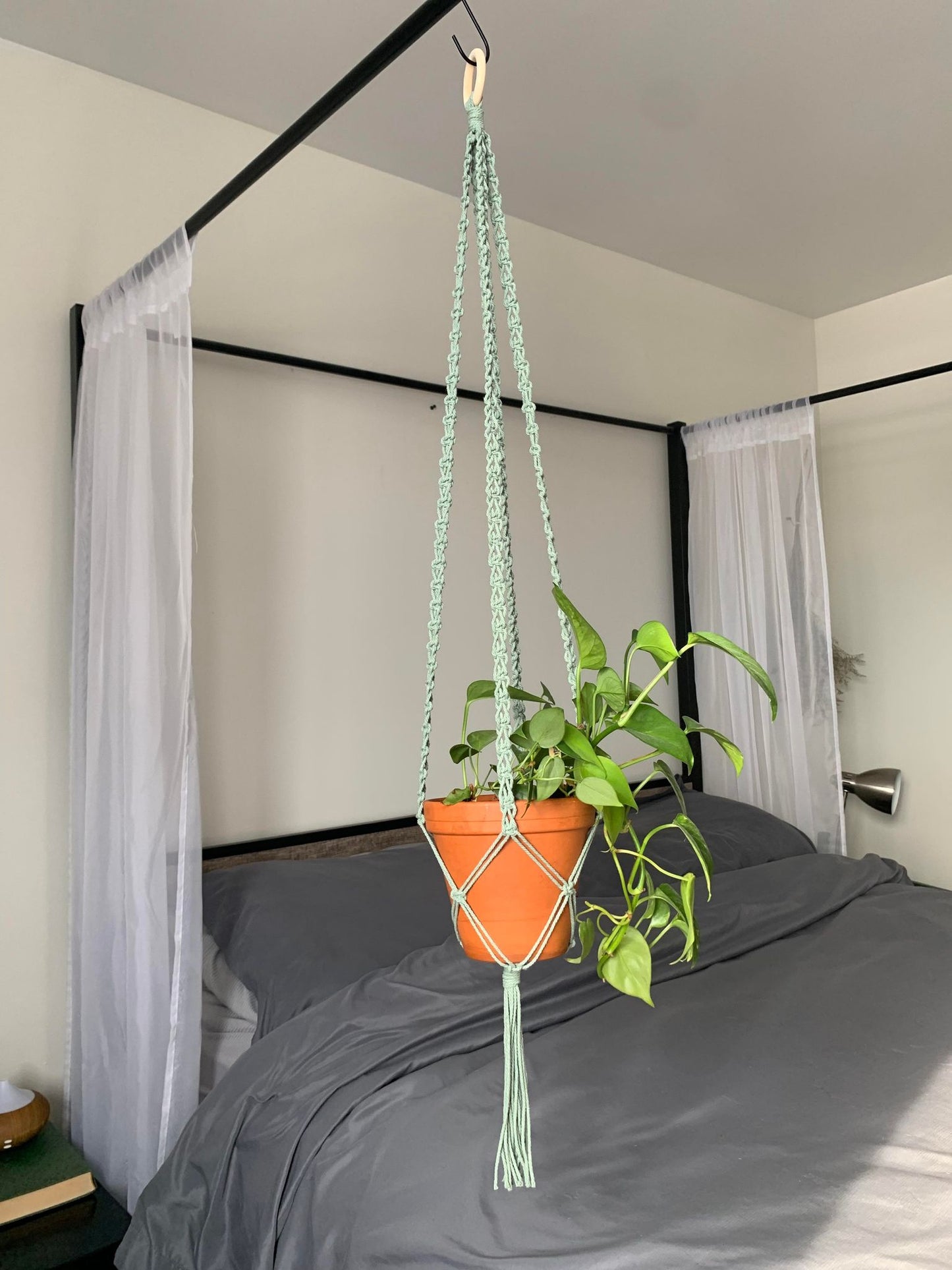 CELTIS - Jardinière suspendue - vert sauge