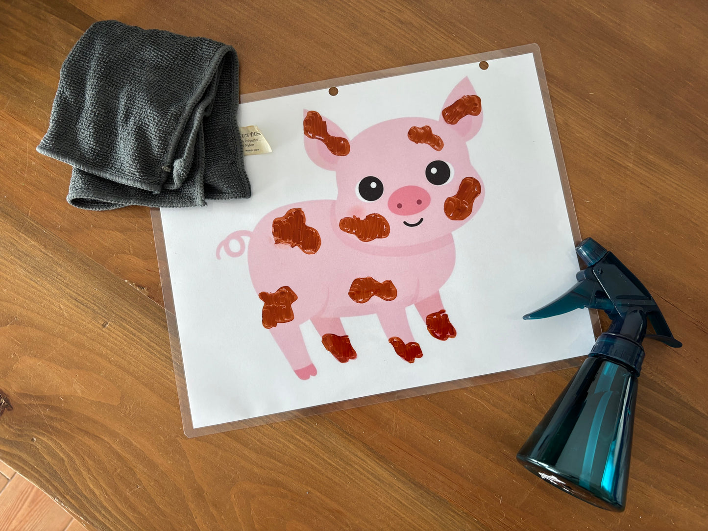 I104 - Activité éducative - Cochon à laver