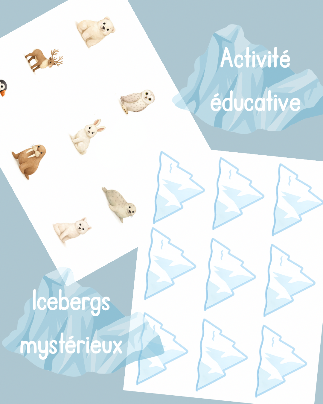 A19 - Activité éducative - Les icebergs mystérieux