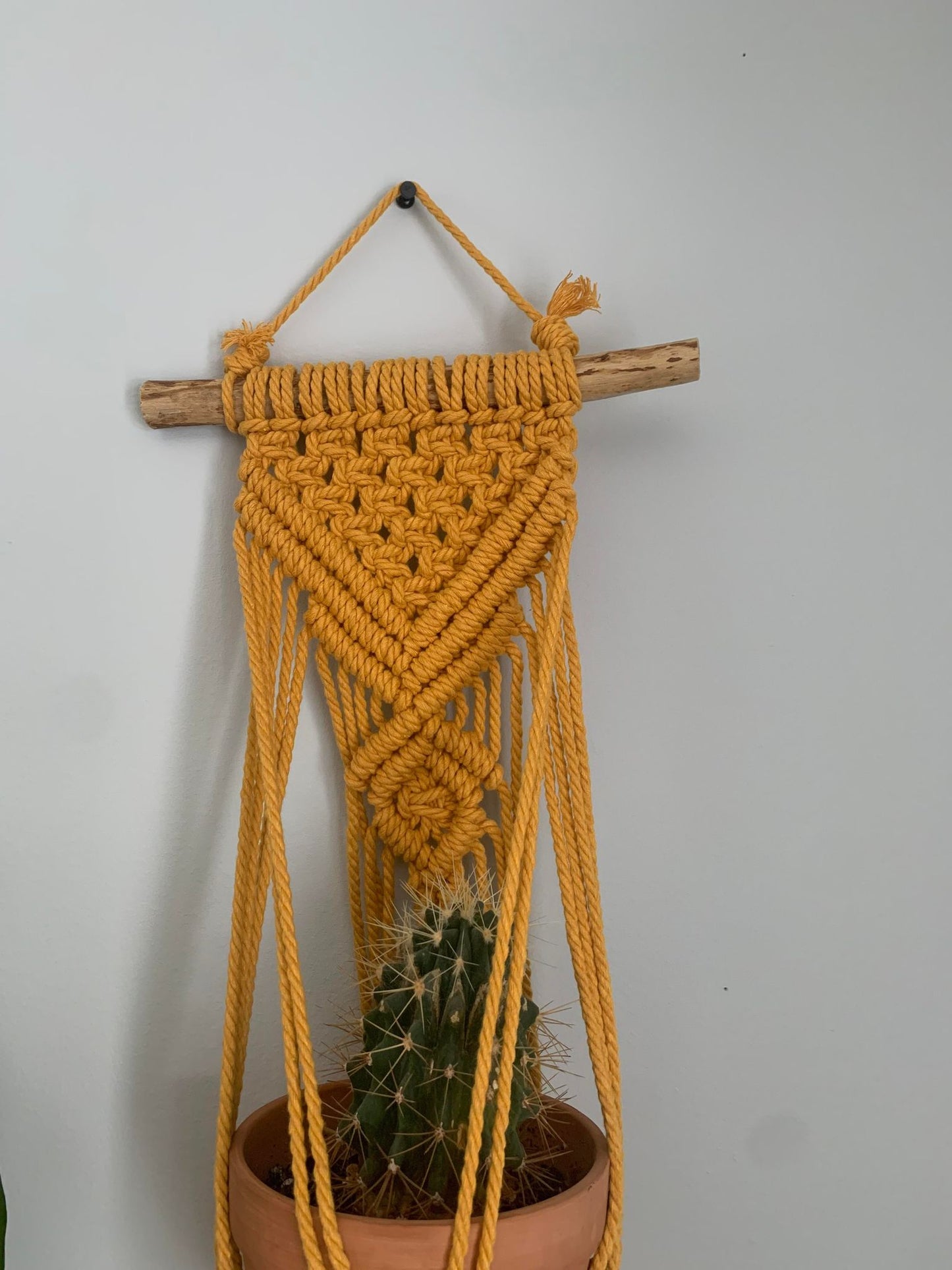Support pour plante