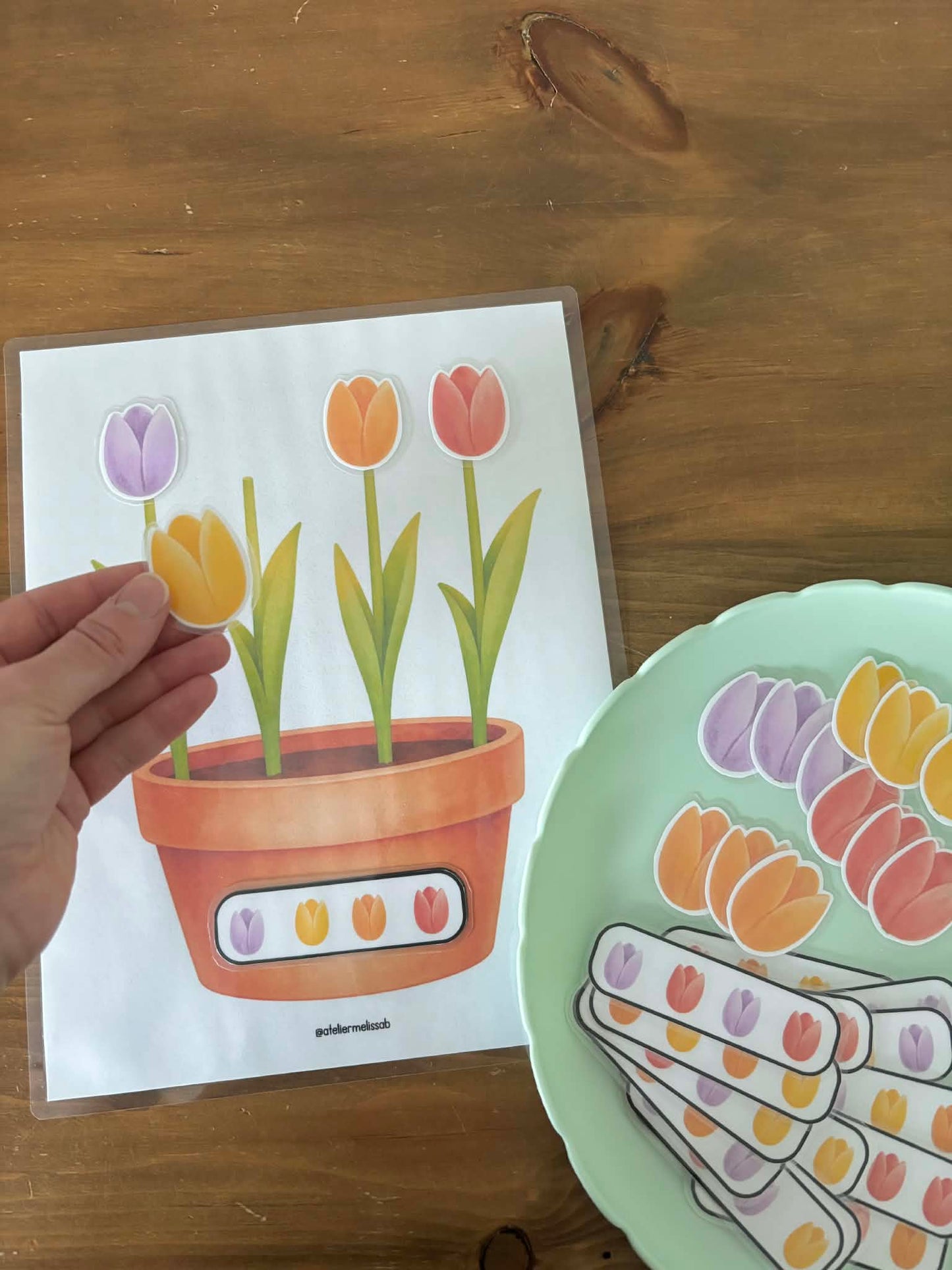 I109 - activité éducative - Les tulipes