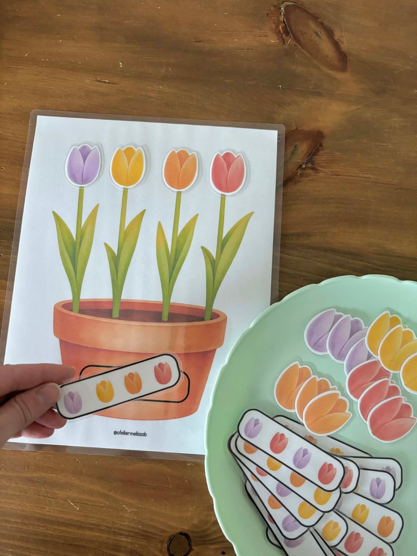 I109 - activité éducative - Les tulipes