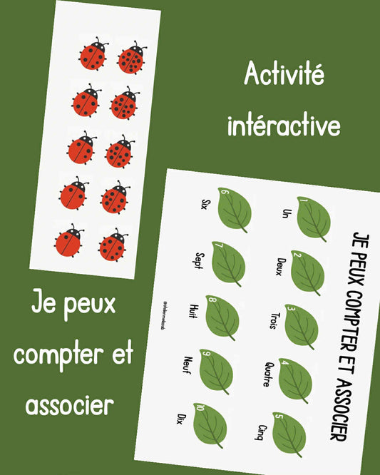 A8 - Activité intéractive - Je peux compter et associer - Coccinelles