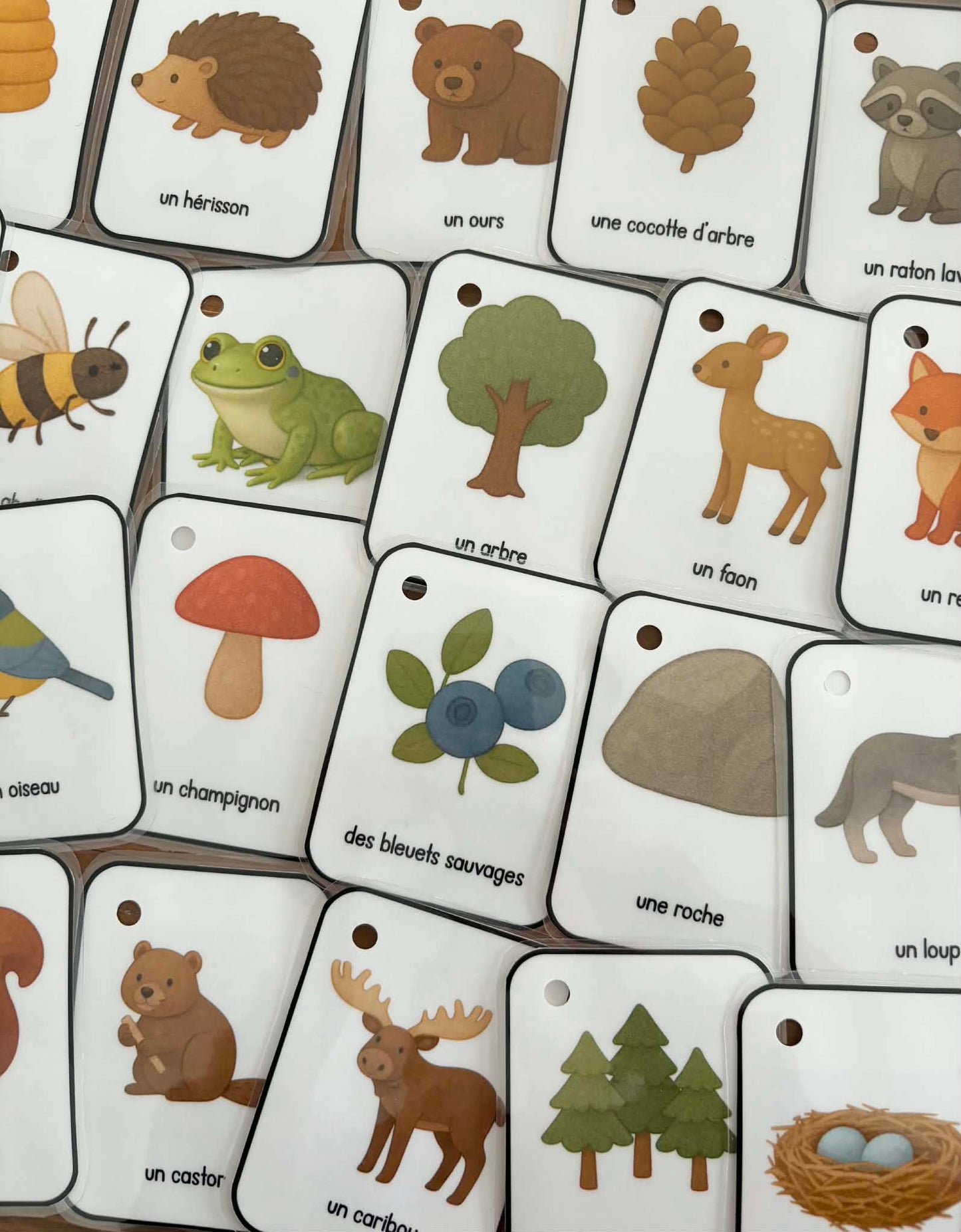 C1 - Cartes imagier d'apprentissage - La forêt