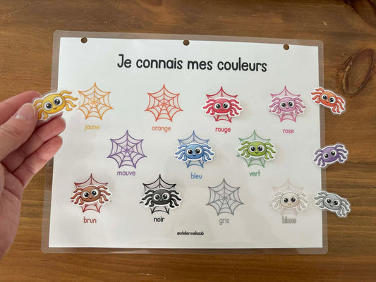 I48 - je connais mes couleurs - araignées