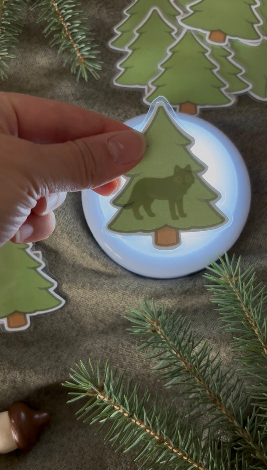 I121 - Activité éducative - Les sapins mystères