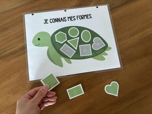 I4 - je connais mes formes - tortue