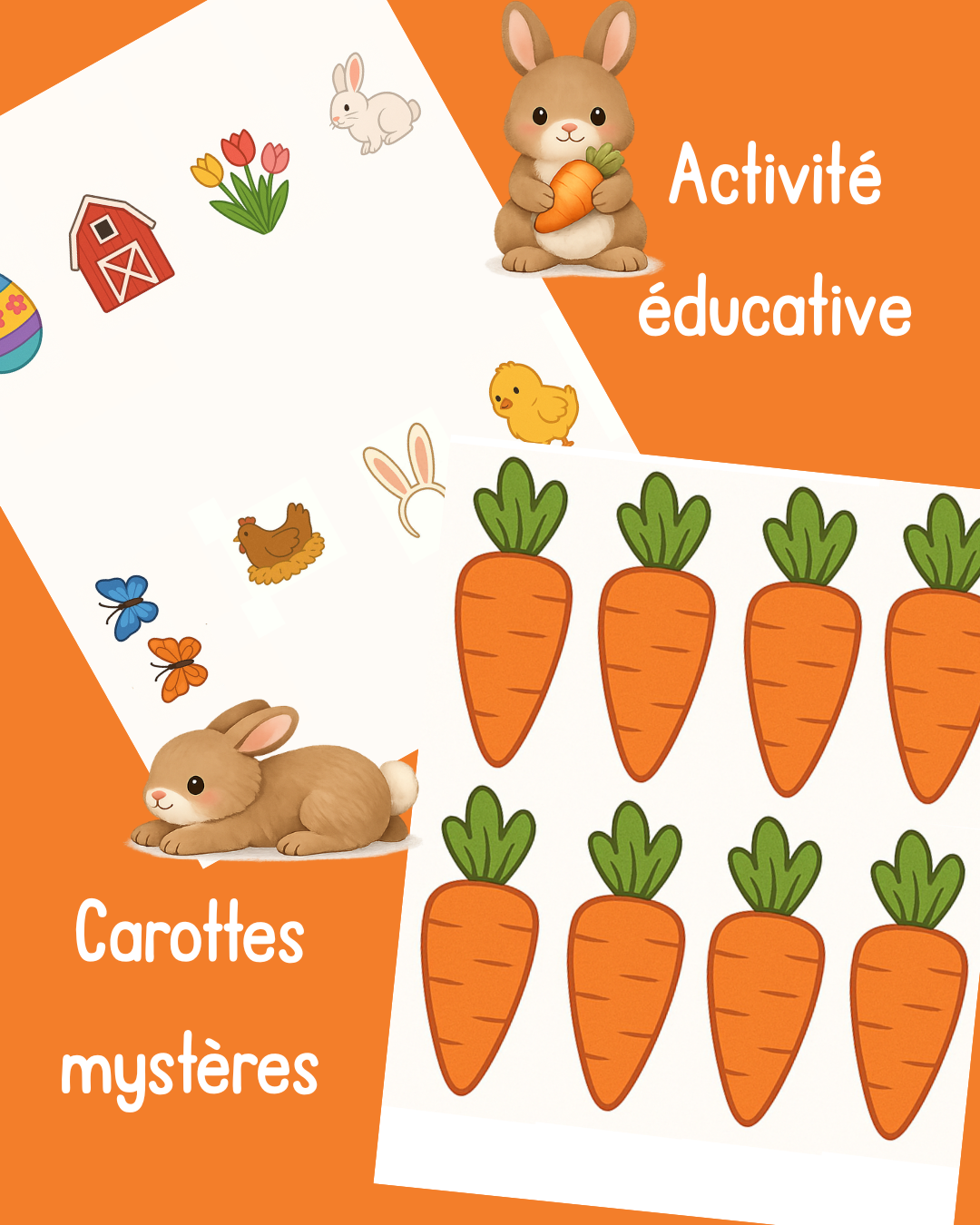 I100 - Activité éducative - Les carottes mystères