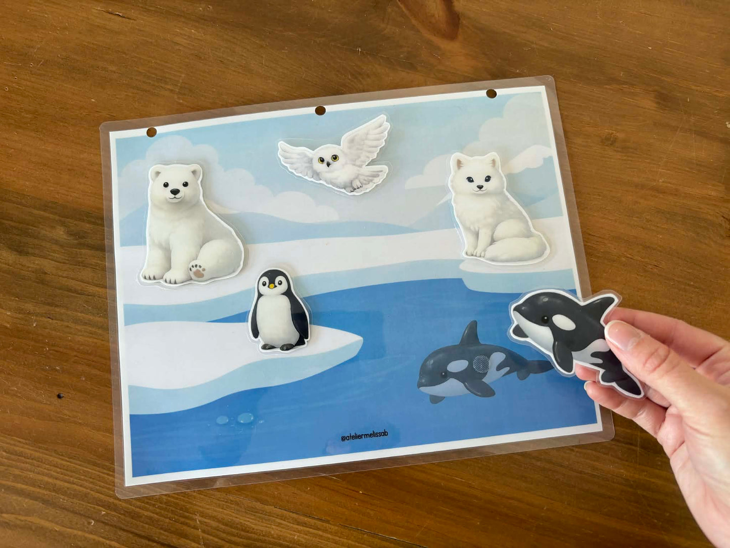 I28 - Puzzle 5 morceaux - Les animaux polaires