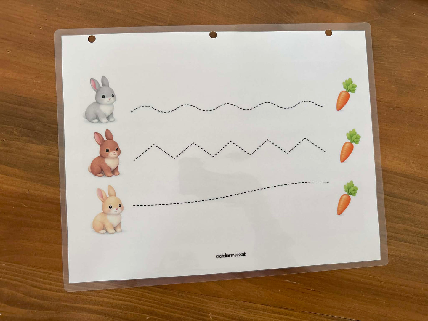 I74- Activité éducative - Apprendre à tracer les lignes - Lapins et carottes