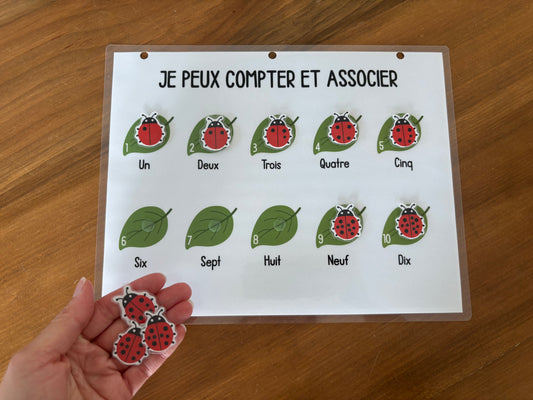 A8 - Activité intéractive - Je peux compter et associer - Coccinelles