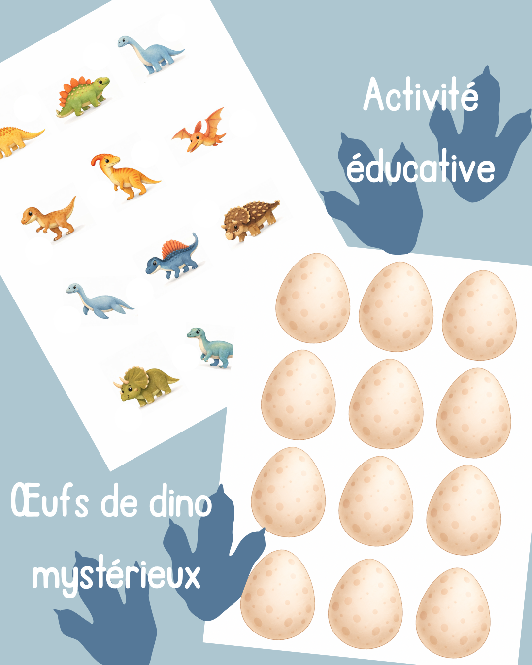 I55 - Activité éducative - Les œufs de dinosaures mystères