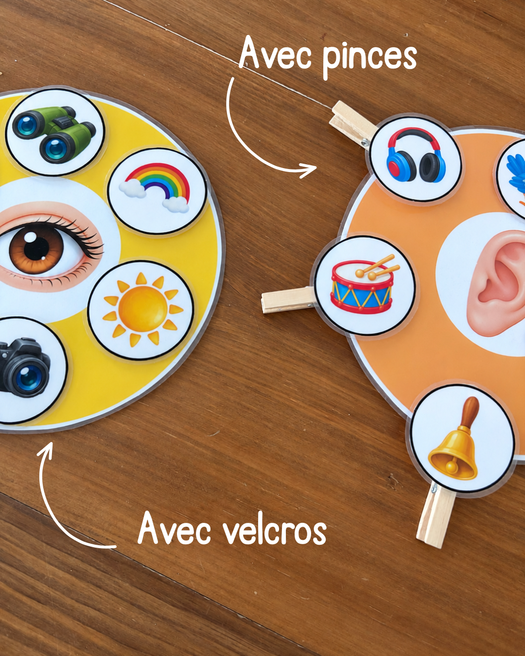 I126- activité éducative - Les 5 sens