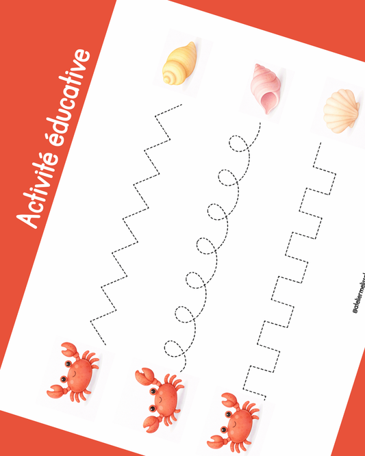 I70- Activité éducative - Apprendre à tracer les lignes - Crabes et coquillages