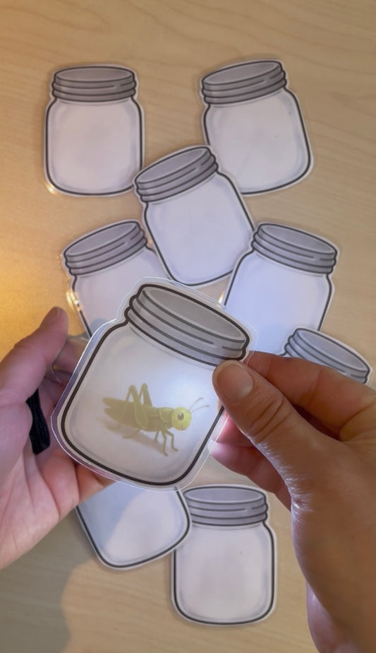 I101- Activité éducative - Les bocaux mystères