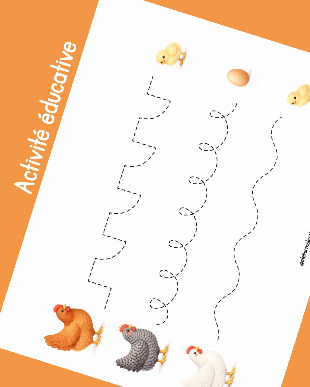 I80 - Activité éducative - Apprendre à tracer les lignes - Les poules