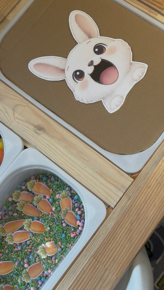 I102- Activité motricité fine - Nourris le lapin