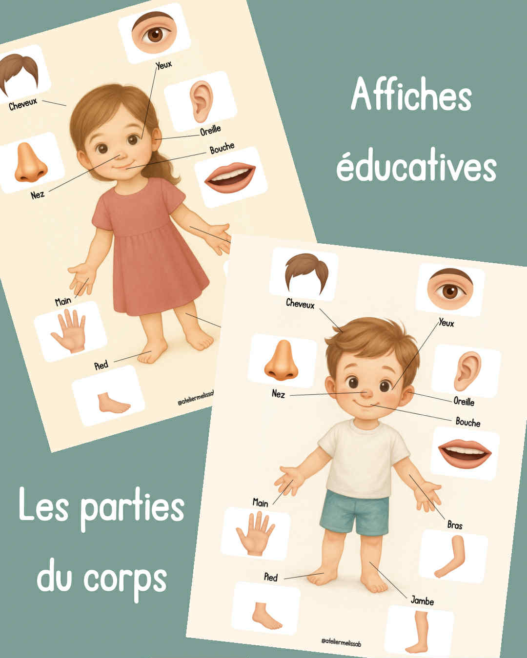 A5 - Affiche éducative - Le corps humain