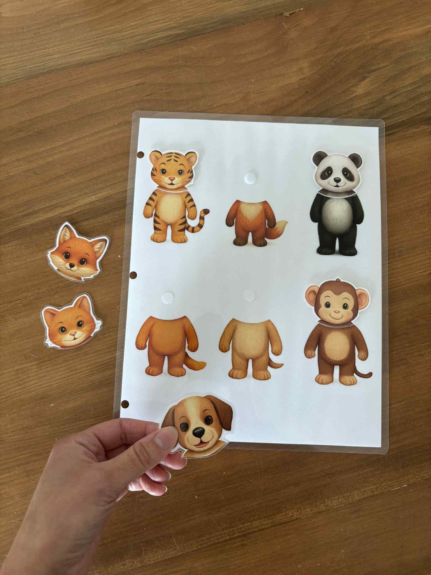 I15 - activité interactive - associations des animaux