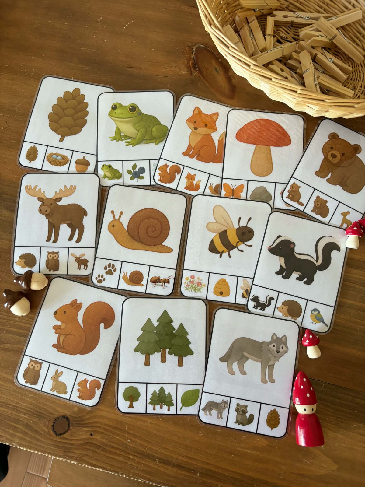 I120 - Cartes à pinces - Forêt